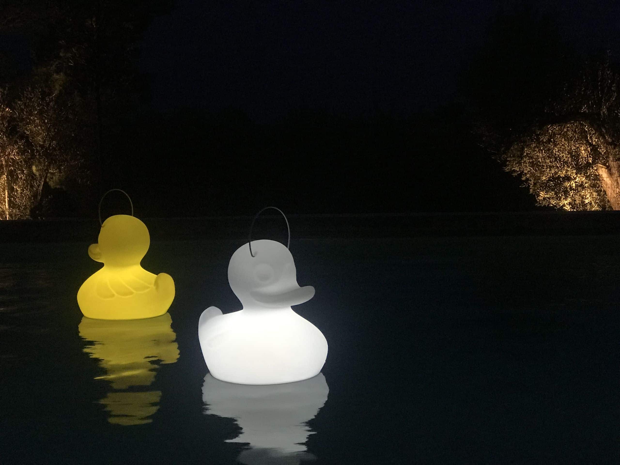 goodnight light the duck duck lamp