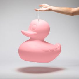 Goodnight Light - The Duck Duck Lamp rose